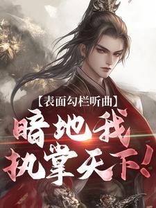 暗地我执掌天下!后续