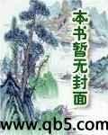 暗灵npc