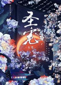 圣宠(女尊)