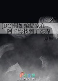 [综英美] 假如蝙蝠家在阿卡姆找到了杰森