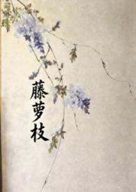 藤萝枝