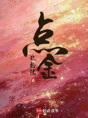 点金